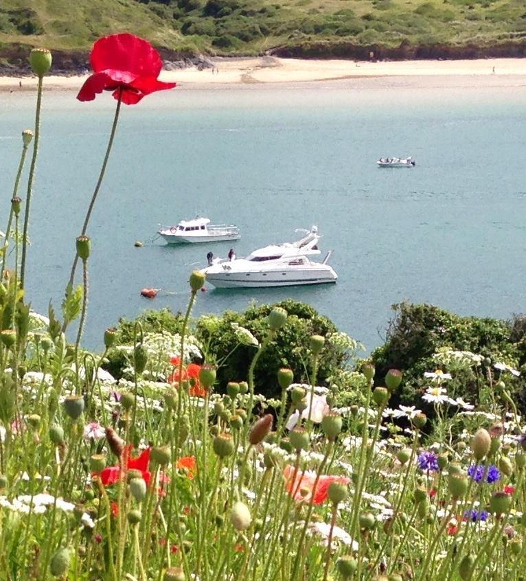 Cyntwell Guest Accommodation Padstow Eksteriør billede